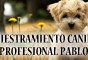 Logo da empresa