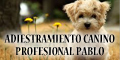 Adiestramiento Canino - Profesional Pablo