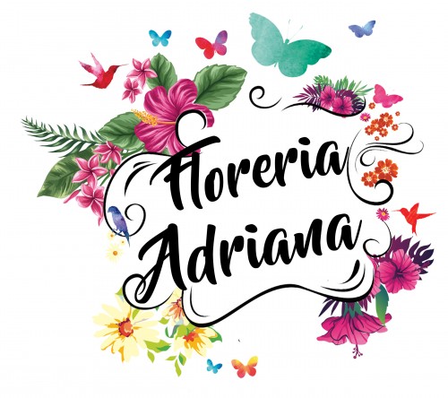 ADRIANA FLORERIA