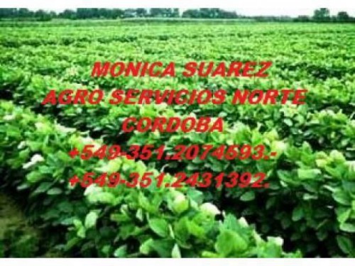 AGRO SERVICIOS NORTE
