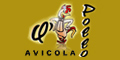 Avicola Q'Pollo