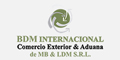 Bdm Internacional