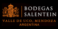 Bodega Salentein