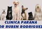 Logo da empresa