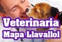 Logo da empresa