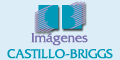 Castillo Briggs Imagenes