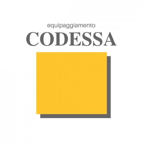 CODESSA