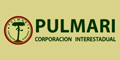Corporacion Interestadual Pulmari