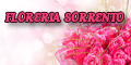 Floreria Sorrento