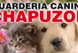 Logo da empresa