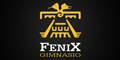 Gimnasio Fenix