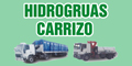 Hidrogruas Carrizo