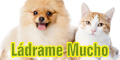 Ladrame Mucho - Veterinaria