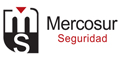 Mercosur Seguridad