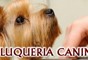 Logo da empresa