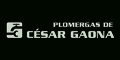 Plomergas de Cesar Gaona