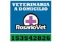 Logo da empresa