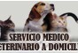 Logo da empresa