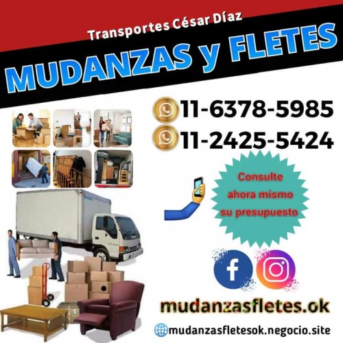 MUDANZAS Y FLETES TRANSPORTES CESAR DIAZ