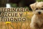 Logo da empresa