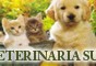 Logo da empresa
