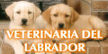 Veterinaria del Labrador