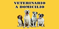 Veterinario a Domicilio